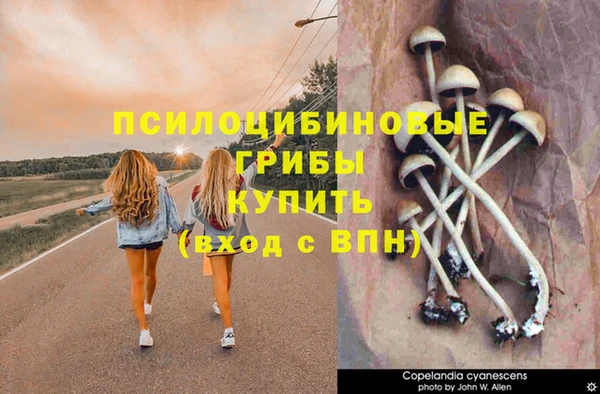 круглые Алексеевка