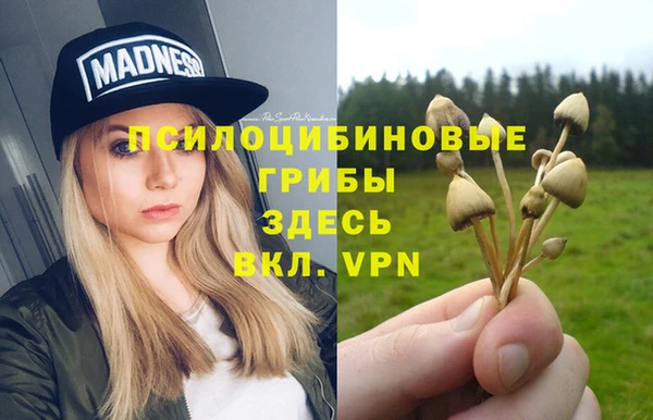 круглые Алексеевка